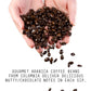 Stone Street Cold Brew Coffee, Strong & Smooth, Low Acid, 100% Arabica, Dark Roast, Whole Bean, 32 Ounce