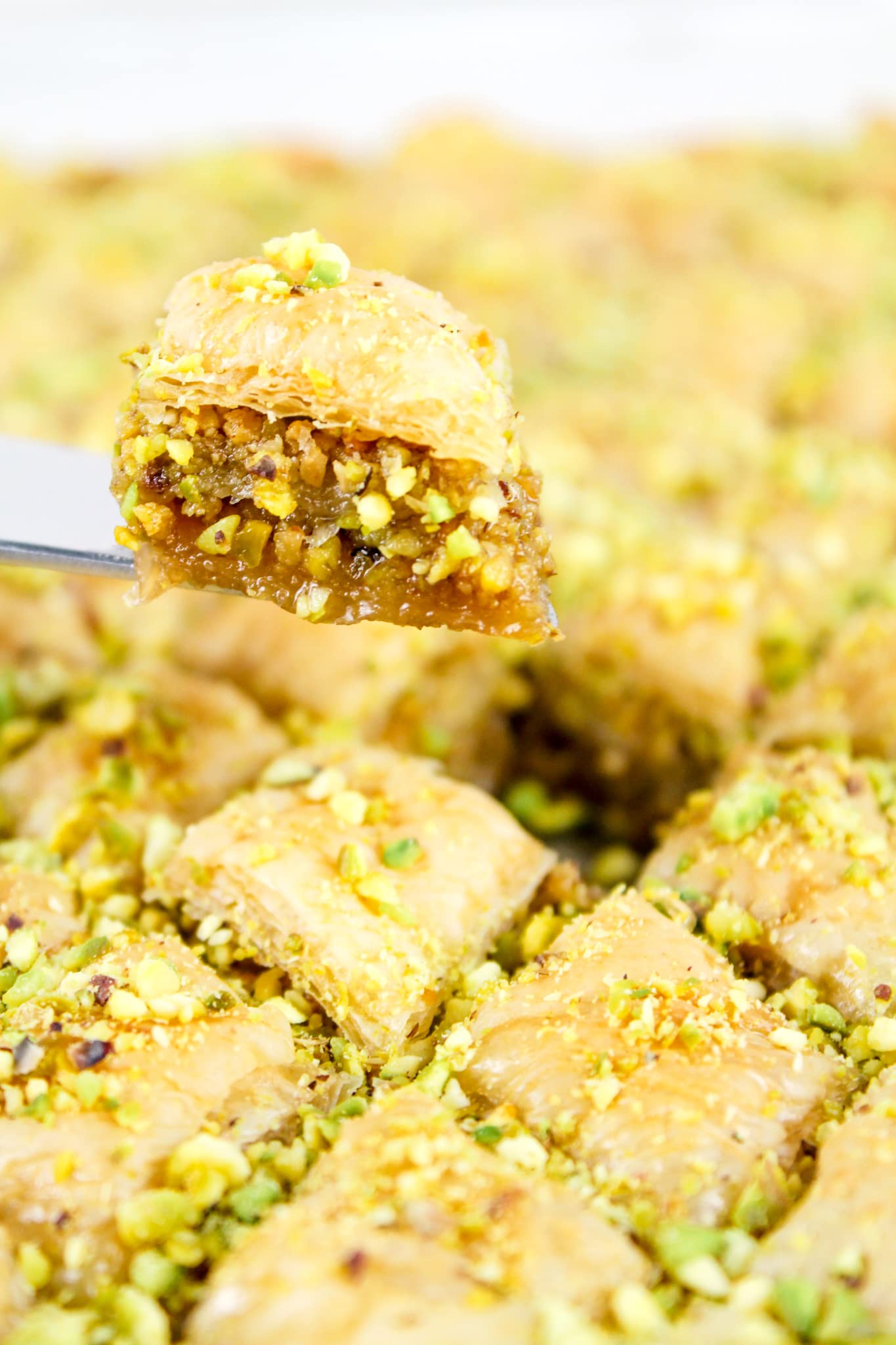 Setton Farms Shelled Pistachio Kernels, Dry Roasted No Salt, 24 Oz - Unsalted, Perfect for Snacking & Baking, No Shells