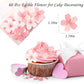 60 Pcs Edible Flowers Cake Topper Cupcake Toppers Decorations Wafer Paper Pink Cherry Blossom Flowers Wedding Themed Party Birth
