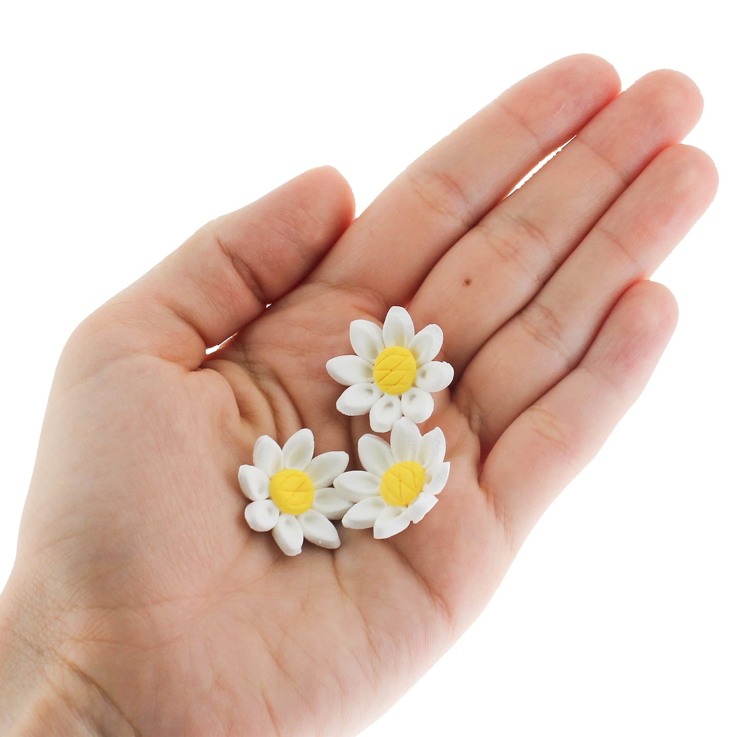 Global Sugar Art 36 Count Edible Daisy Sugar Cake Flowers, White Unwired, Small 1 Inch By Chef Alan Tetreault