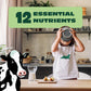 ORGANIC VALLEY Ultra Pasteurized Reduced Fat Organic 2% Milk, 128 oz