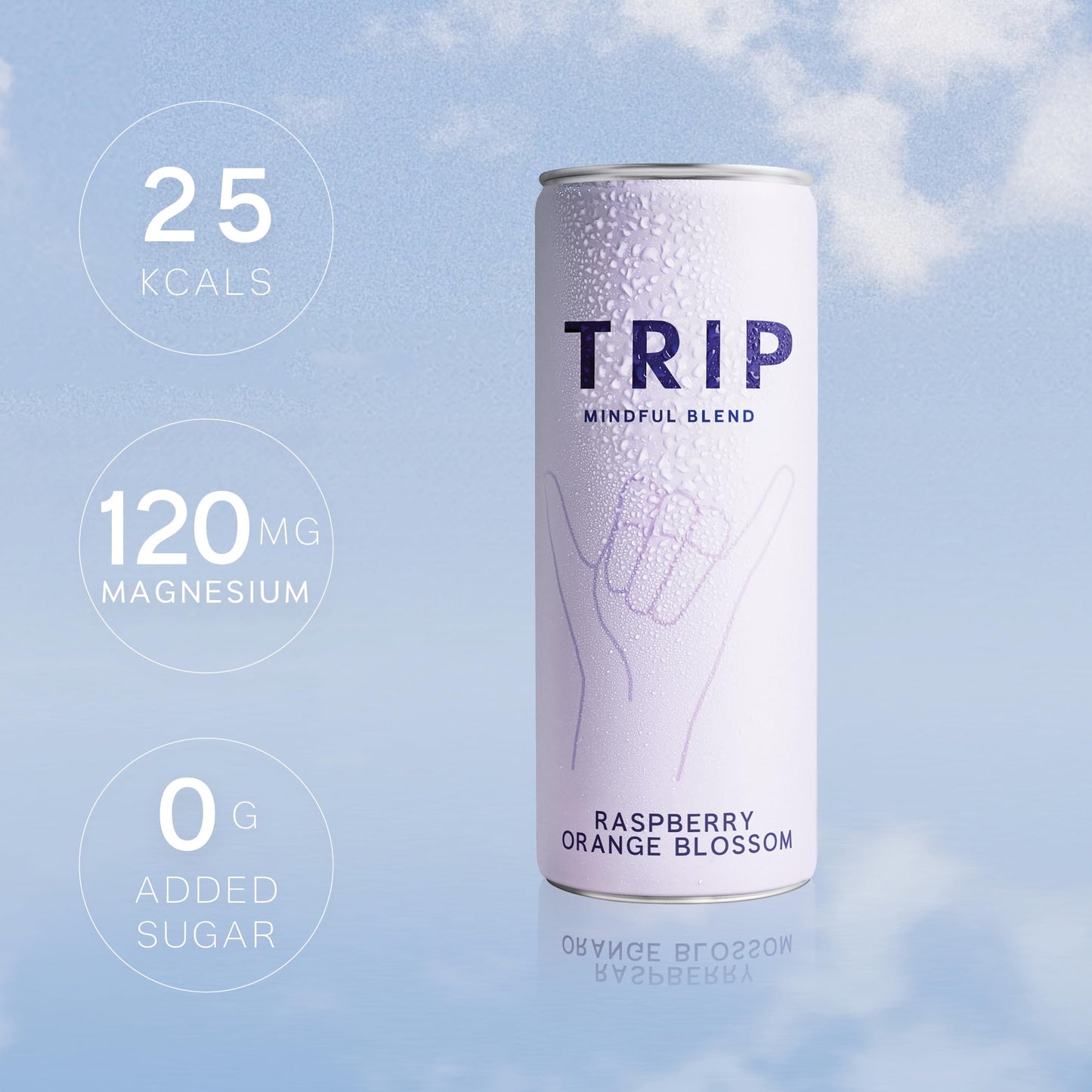 TRIP Adaptogen Seltzer, Lightly Sparkling Raspberry Blossom, 12 Fl Oz (Pack of 12), No Added Sugar, Vegan