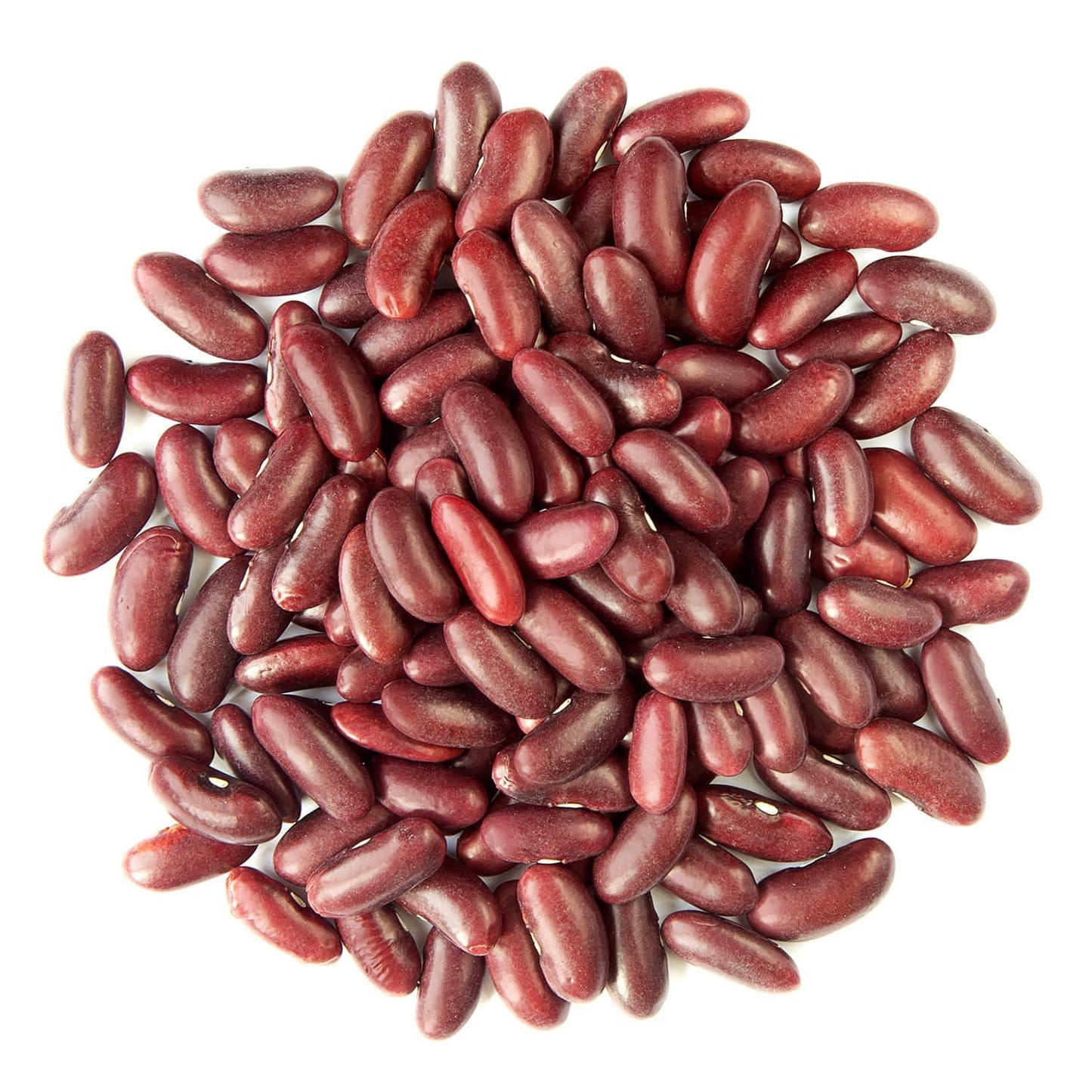 Food To Live - Organic Red Kidney Beans, 1.5 Pounds - Non-Gmo, Dry, Raw, Sproutable, Vegan, Kosher, Bulk