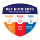 BOOST Plus Rich Chocolate Nutritional Drink, 8 Fl Oz, 6 Pack