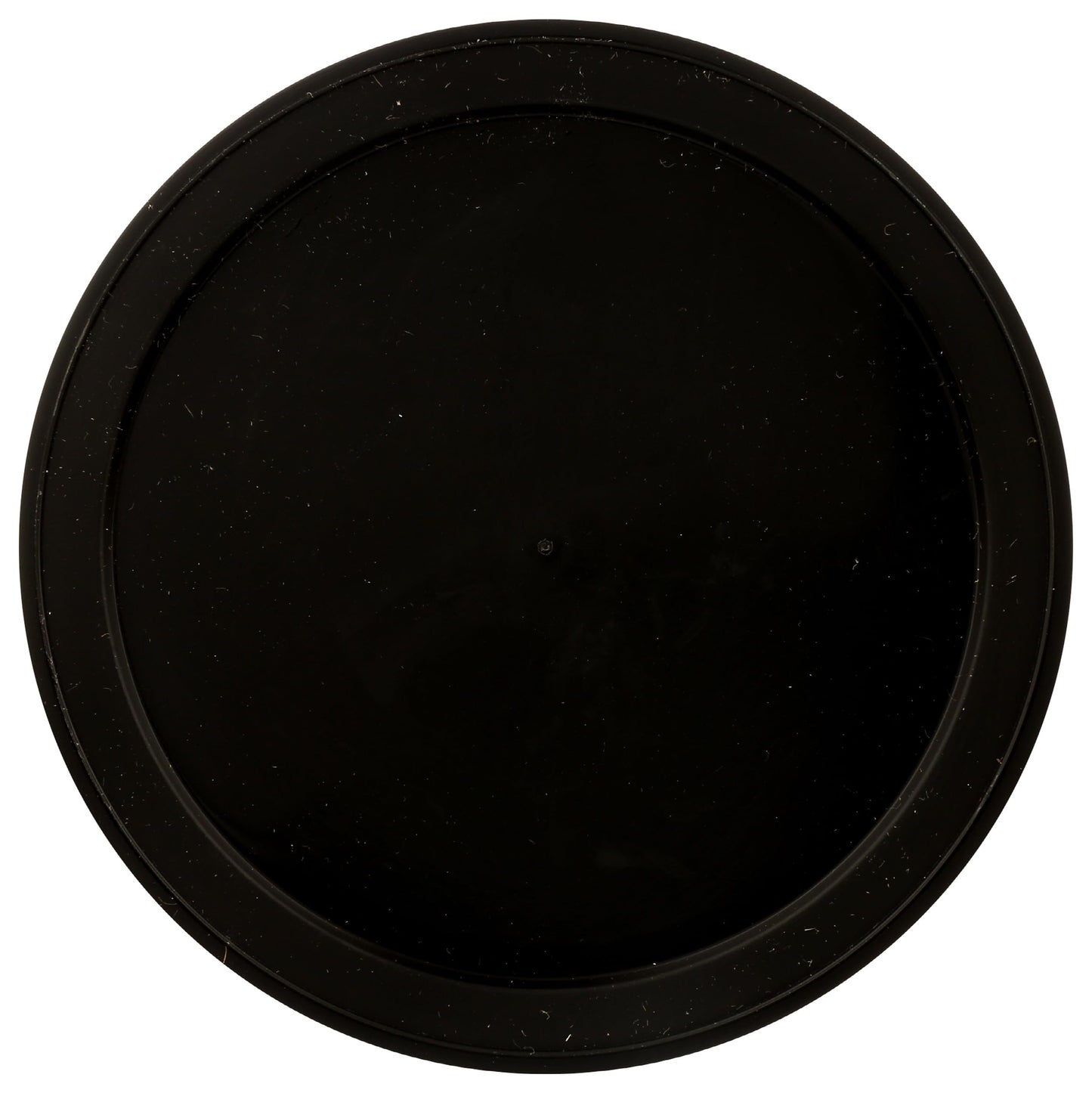 365 by Whole Foods Market Organic Raisins, 12 Ounce, Pack of 1