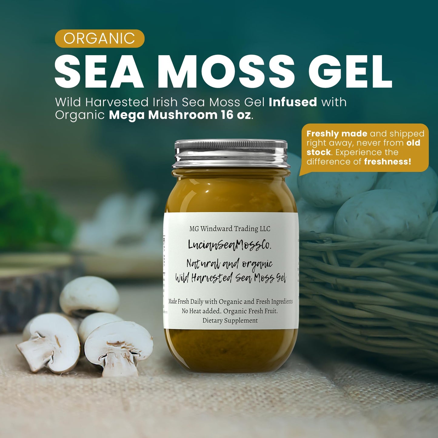 MG Windward Trading LLC Soursop Sea Moss Gel - Organic, Wild Harvested, 16 oz, Immune Support, Digestive Health