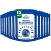 Natierra Nature's All Foods Organic Freeze-Dried Non-GMO & Vegan, Blueberries, 1.2 Ounce (Pack of 12)
