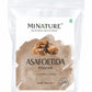 Asafoetida Powder (Hing)(Asafetida) by mi Nature| 100% Pure and Natural | 100g(03oz) | Indian Spice for Cooking| from India
