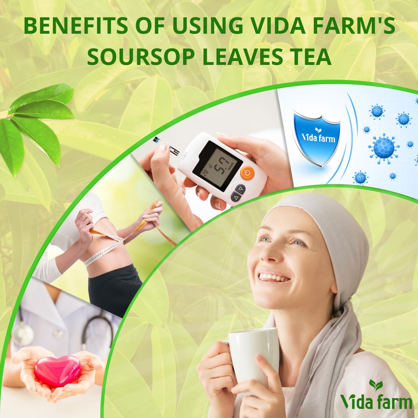 VIDA FARM Soursop Leaves Tea Bags, 100% Natural Herbal Tea, 100 Bags - Special Box