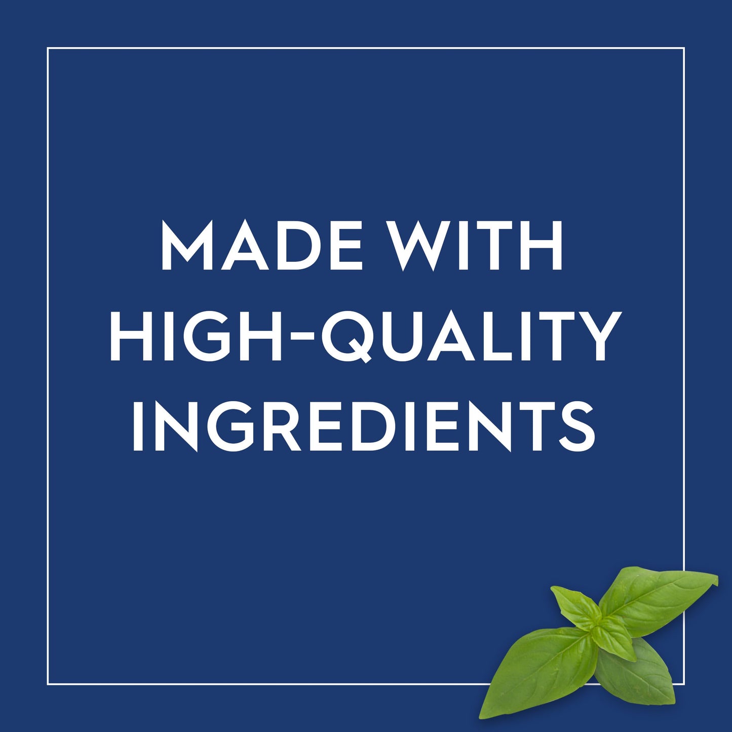 Barilla Pesto Sauce, Creamy Genovese & Rustic Basil, 4 Piece Assortment, Green