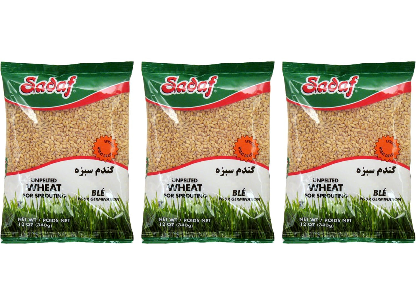 Sadaf Unpelted Wheat - Sabzeh Sprouting Wheat - Germinado de Trigo - Kosher- 12 oz Bags (Pack of 3)