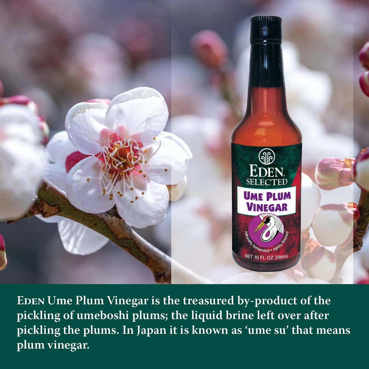 Eden Ume Plum Vinegar, Traditionally Made In Japan, No Chemical Additives, 10 Oz Amber Glass Bottle (3-Pack)