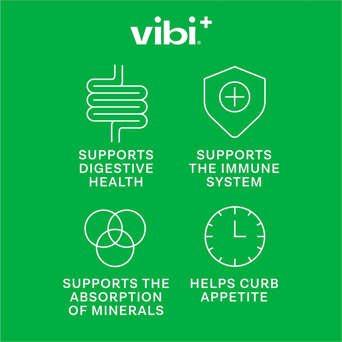 Vibi+ Strawberry Kiwi Prebiotic Water - Digestive Health Support - Sugar Free High Fiber Flavored Drink - Keto, Vegan, Healthy,