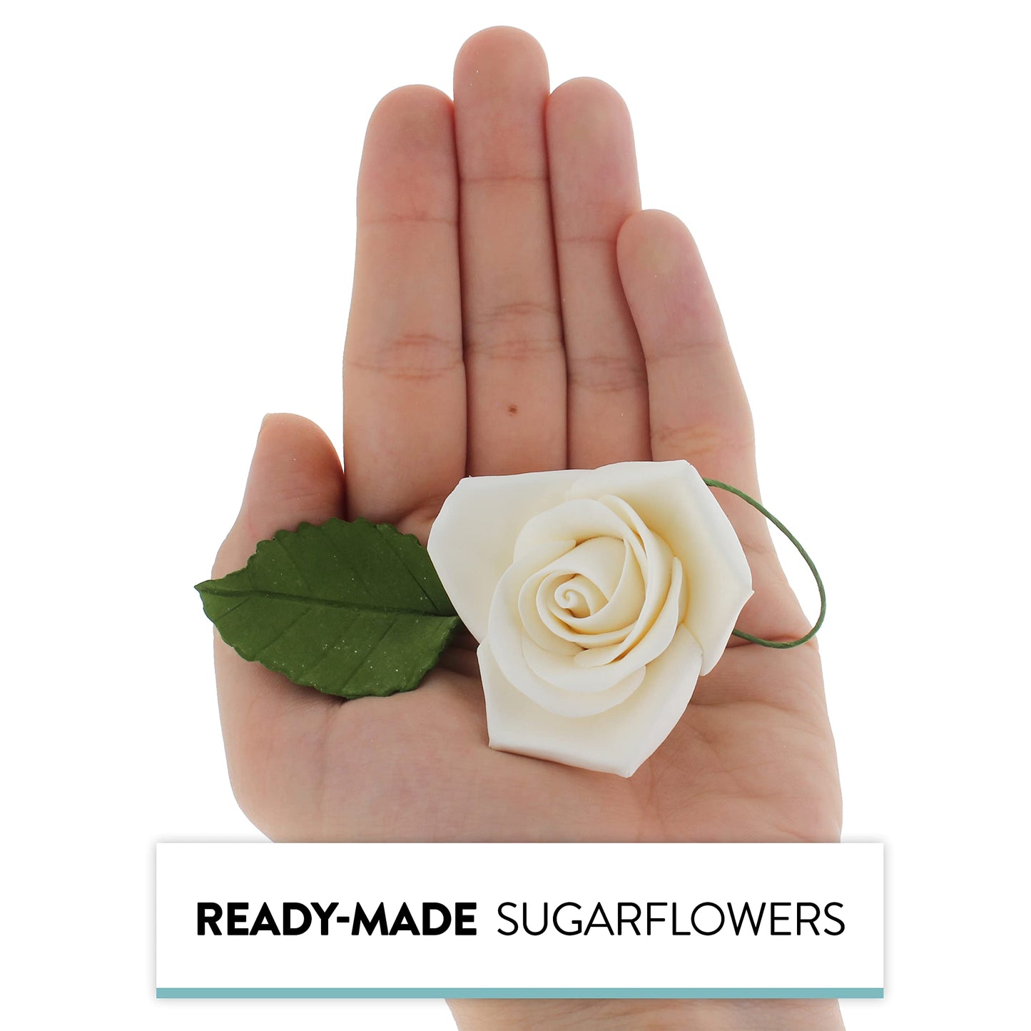 Global Sugar Art Peace Rose White Sugar Cake Flowers 5 Count With Leaves By Chef Alan Tetreault