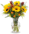 Stargazer Barn - Wildflower Bouquet (Includes Glass Vase) - Fresh Flowers For Delivery - Gift For Anniversary, Birthday, Congratulations, Get Well, Graduation, Sympathy