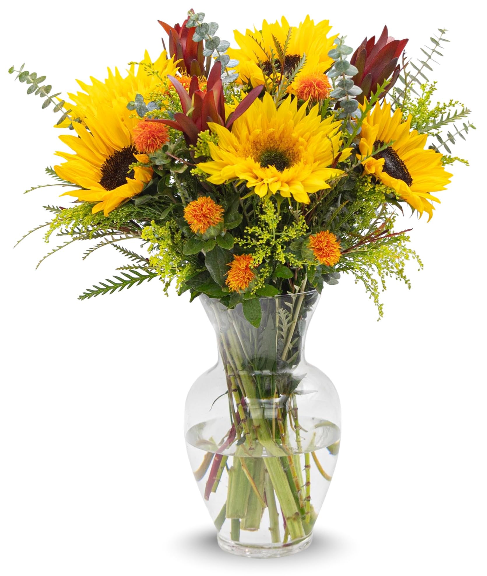 Stargazer Barn - Wildflower Bouquet (Includes Glass Vase) - Fresh Flowers For Delivery - Gift For Anniversary, Birthday, Congratulations, Get Well, Graduation, Sympathy