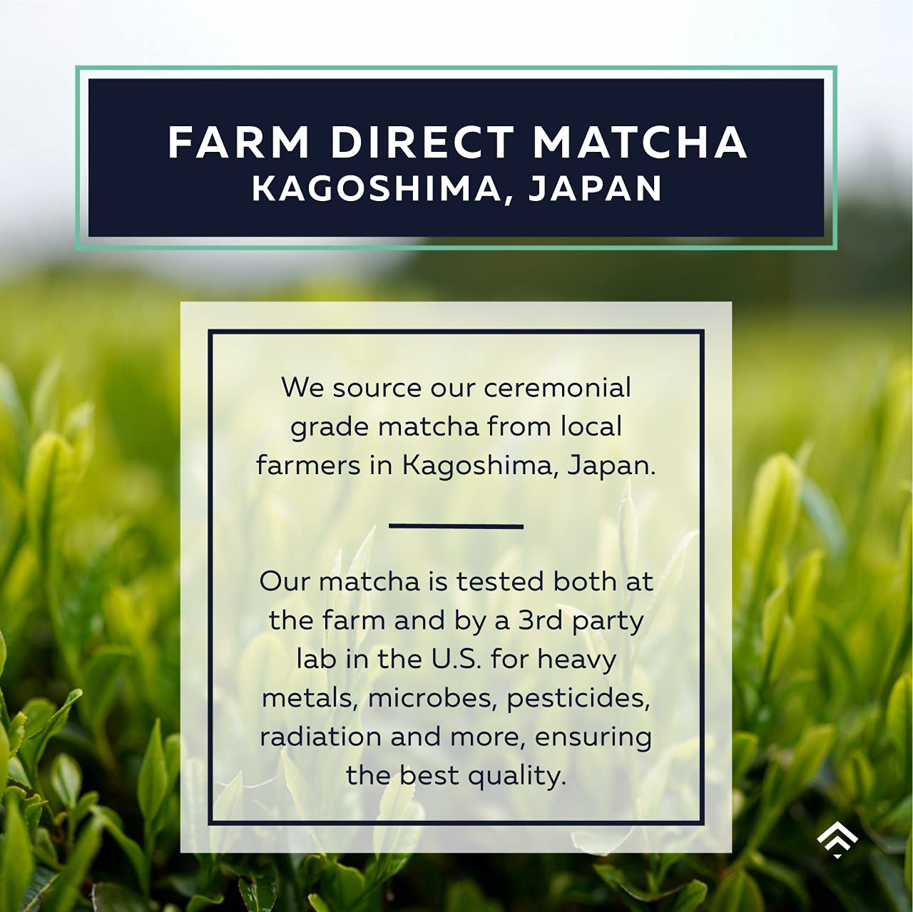 ACTA Matcha Energy Tea 40g  High Caffeine (170mg) Blend for Increased Focus & Clarity  Perfect Coffee Alternative Made with Ceremonial Grade Matcha Green Tea Powder from Japan
