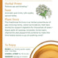 Traditional Medicinals Organic Gas Relief Chamomile Mint Herbal Tea, Relieves Gas & Bloating, (Pack Of 1) - 16 Tea Bags