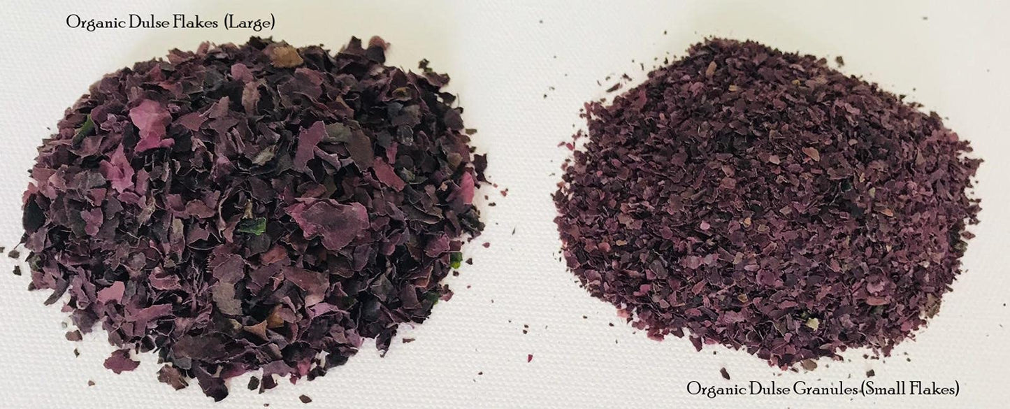 Aqua Veggies Organic Atlantic Dulse Flakes 227g 1/2lbs, Hand-Harvested, Sun-Dried Bay of Fundy, Excellent Source of Vitamins B6,