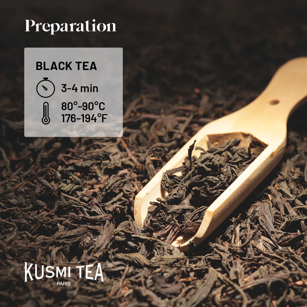 KUSMI TEA Organic Earl Grey Black Tea - Prince Vladimir - 2 Boxes of 20 Tea Bags - Flavored with Citrus, Cinnamon, and Spices