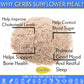 Gerbs Sunflower Seed Meal 4 Lbs. Premium Grade | Freshly Harvested & Packaged In Resealable Bulk Bag | Non-Gmo, Keto & Paleo | Anti-Inflammatory Benefits, Prevent & Fight Sickness | Gluten Peanut Free