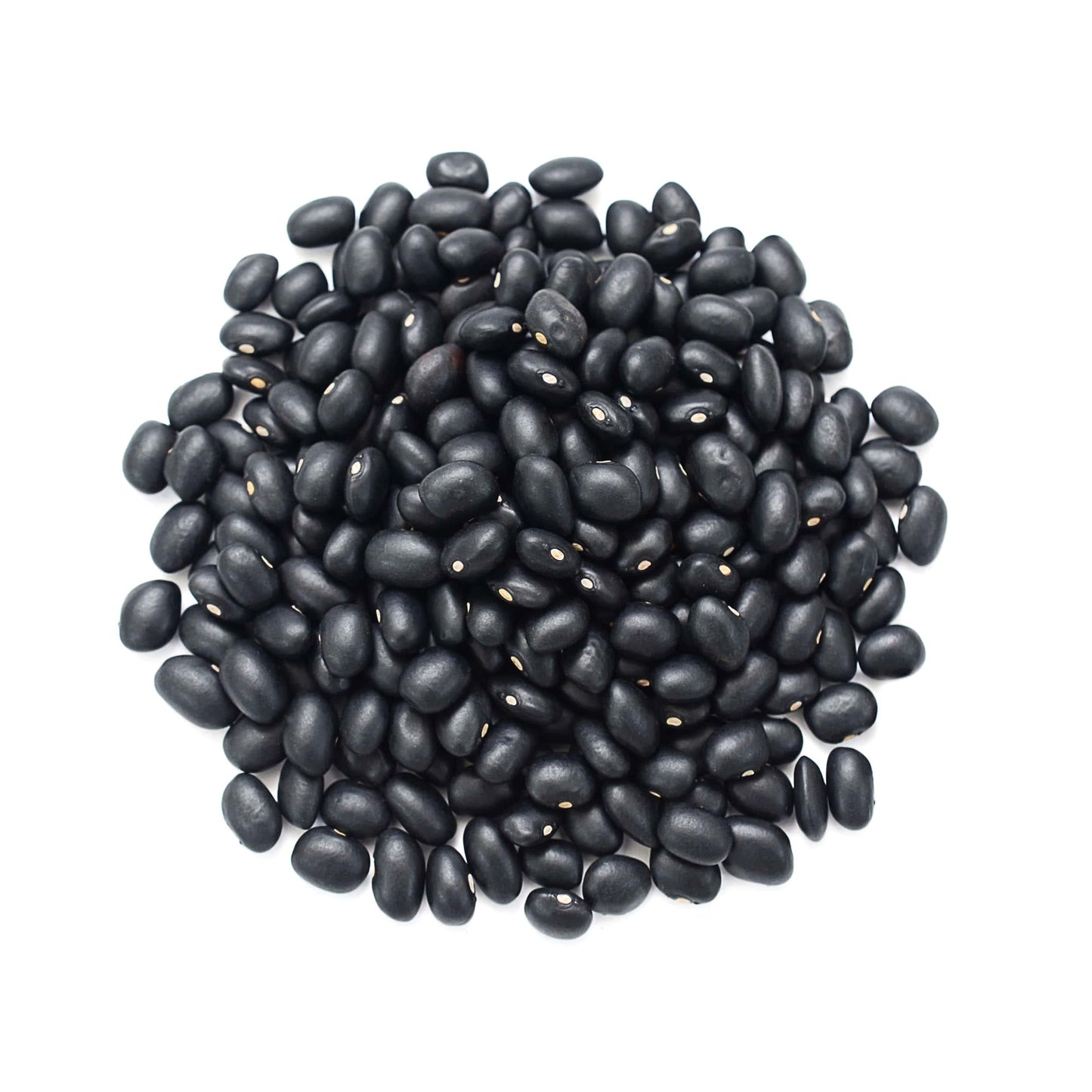 Food to Live Black Turtle Beans, Whole Dried Beans, Vegan, 8 Ounces, Bulk, Low Sodium, High Protein