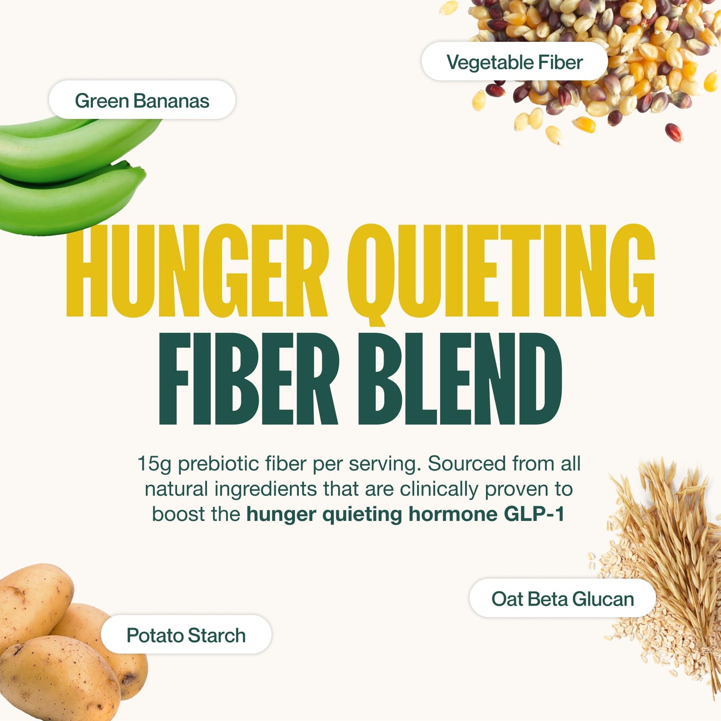 Supergut GLP-1 Boosting Prebiotic Shakes, Chocolate - Gut Healthy Meal Replacement with 15g Fiber, 15g Protein & 5g Net Carbs -