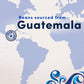 Gevalia Special Reserve Guatemala Single Origin Medium Roast Coarse Ground Coffee, 10 Oz. Bag