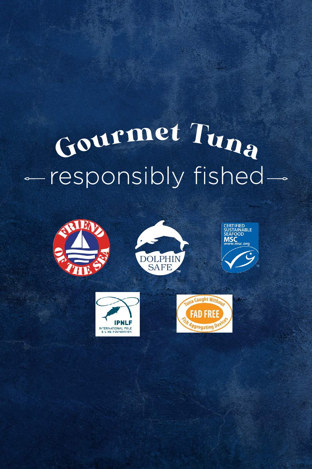 Tonnino Yellowfin Tuna Fillets in Olive Oil, Wild Caught, Non-GMO, 4.94 Oz (2 Pack)