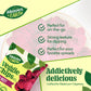 Heaven & Earth Beet Chips 1Oz (6 Pack) Crisp And Delicious | Gluten Free | Certified Kosher (Including Passover)