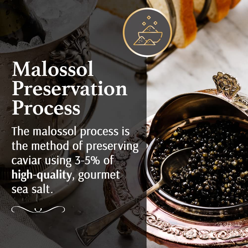 OLMA Noble Caviar Gift Set - 2 oz (56g) of Caviar, Includes Kaluga Royal, Siberian Osetra Aurora, Hackleback, Paddlefish, Servin