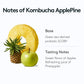 Osulloc Kombucha Tea Applepine (Pineapple & Apple), Electrolytes Powder & Hydration Drinks Packets, No Added Sugar, 10 Sticks, 1