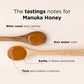 MANUKA DOCTOR - MGO 35+ Manuka Honey Multifloral, 100% Pure New Zealand Honey. Certified. Guaranteed. RAW. Non-GMO (8.75oz)