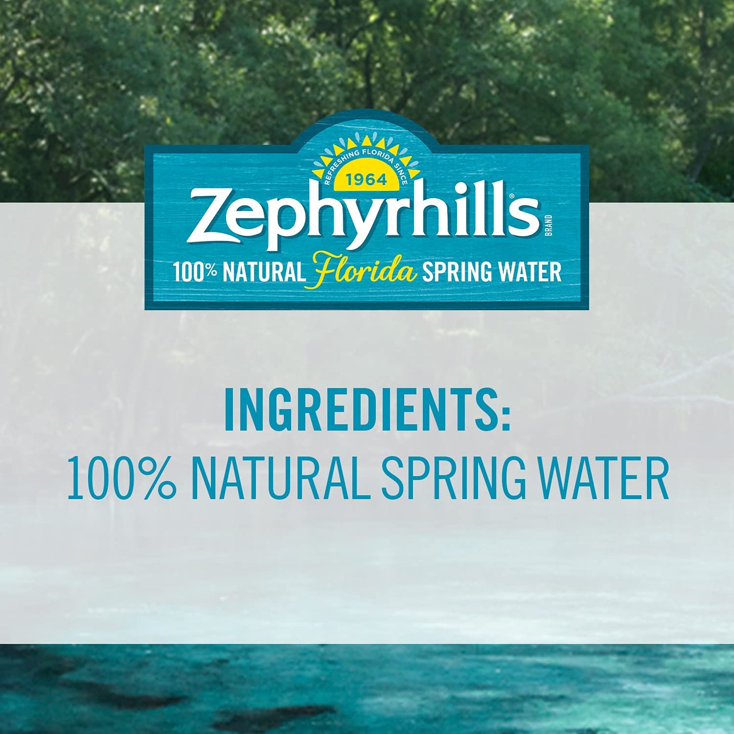 Zephyrhills Spring Water, 2.5 gallon 320 Fl Oz (Pack of 1)