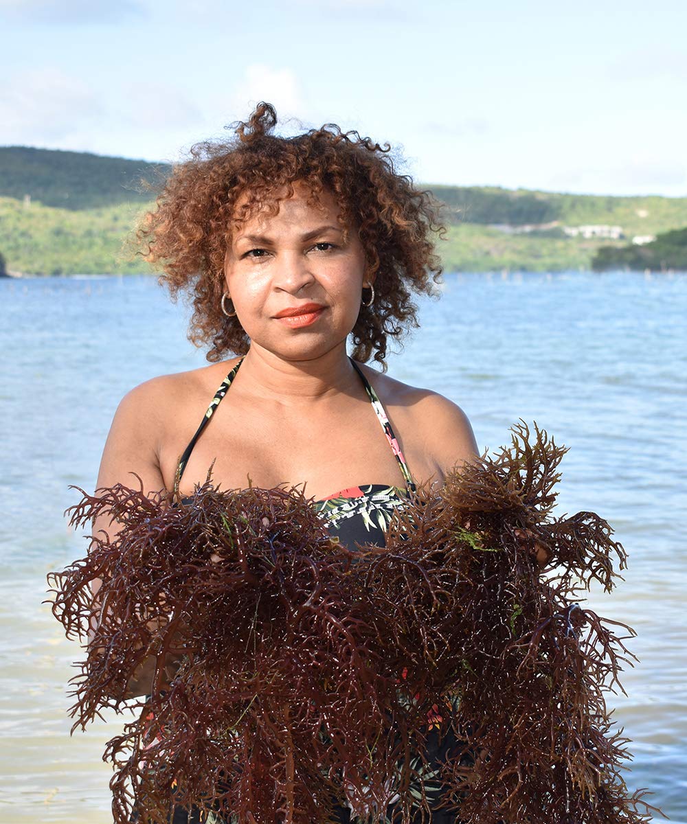 Reds Kitchen Sink Purple Sea Moss - 100% Natural & Raw, 8oz