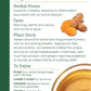 Traditional Medicinals Tea,Og2,Turm W/Mdwswt&Gn 16 Count (Pack Of 6)