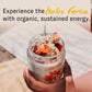 HOLOS Organic Overnight Muesli - 12 Pack Variety Flavors with Jar - Gluten Free Muesli Cereal with Overnight Oats  High Fiber  20g Plant Proteins  Probiotics  Vitamins  Minerals