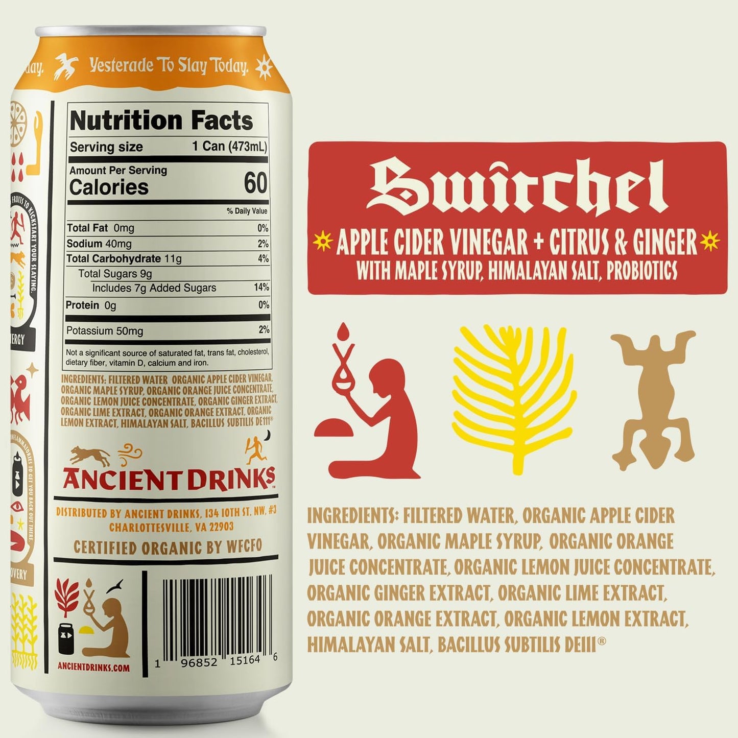 ANCIENT DRINKS Apple Cider Vinegar Beverage, Organic Sports Drink with Electrolytes & Probiotics, Citrus & Ginger, 16 fl oz (12 cans)