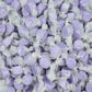 Gourmet Soft and chewy Salt Water Taffy Candies - Individually Wrapped - Bulk bags (Purple Grape, 2 Pound (Pack of 1))