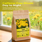 FullChea - Dandelion Leaf & Root Tea Bags  100 Teabags  1.5g/bag - Natural Dandelion Herbal Tea for Liver & Kidney Health - Non-GMO - Caffeine-free - Support Digestion & Boost Immune System