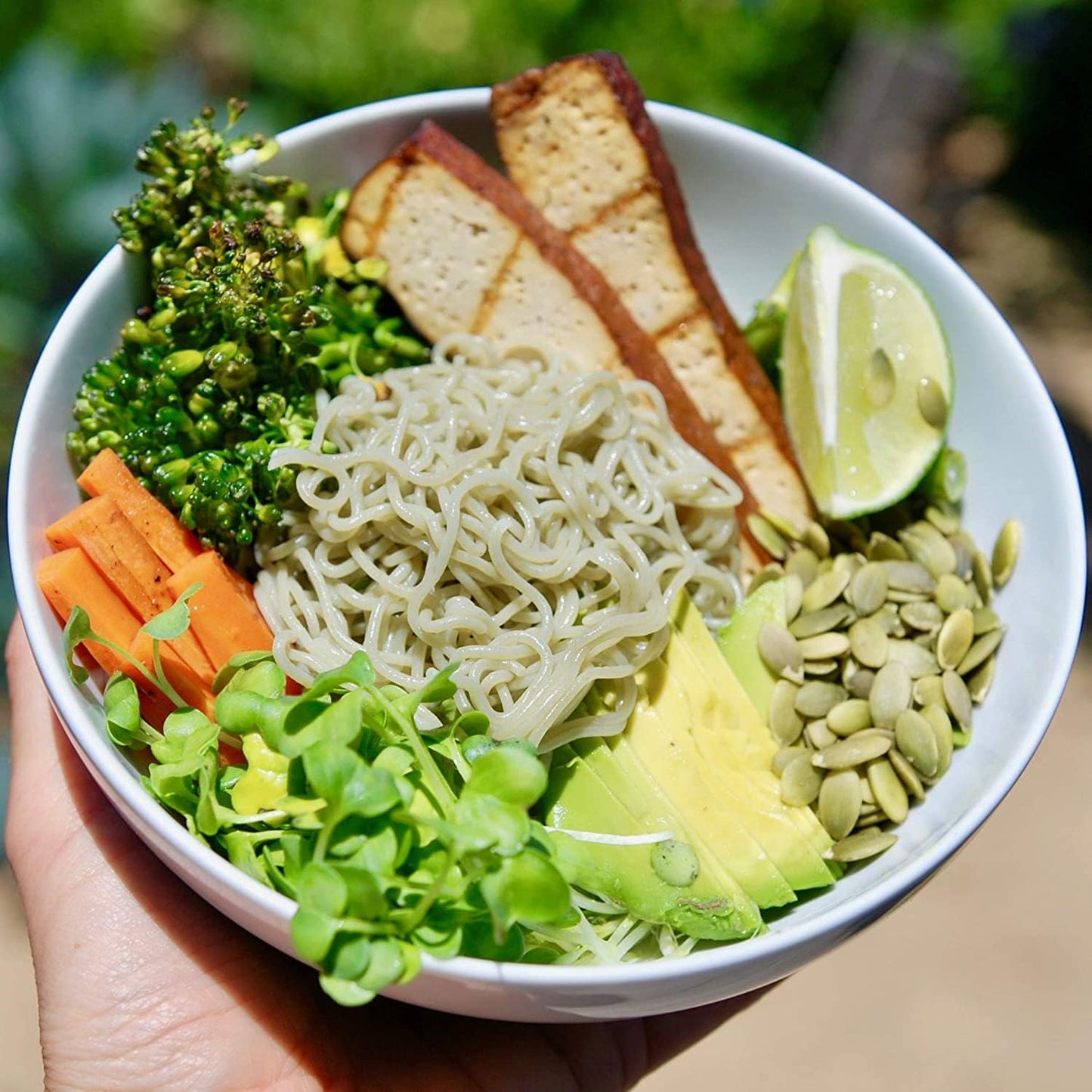 Lotus Foods Organic Jade Pearl Rice Ramen Noodles - Gluten Free Instant Ramen Noodles, Vegan, Low Sodium, Made With Brown Rice Flour And White Rice Flour, Ready In 4 Minutes - 10 Oz (Pack Of 6)