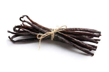 Vanilla Bean Kings Whole Vanilla Beans - Grade B Pods for Baking & Brewing, 10 Count, Black/Dark Brown