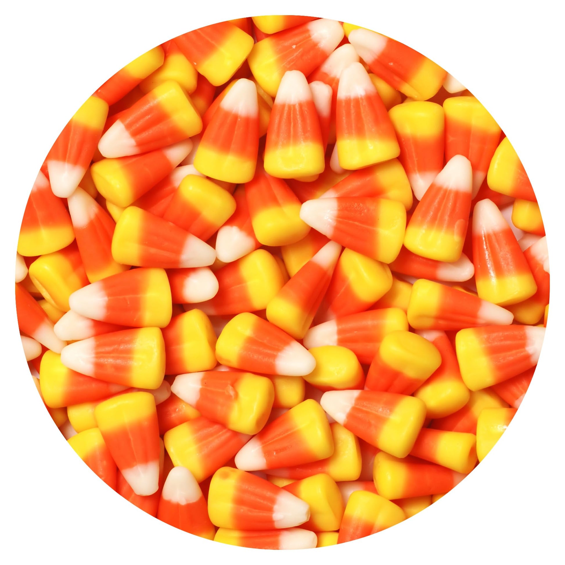 Candy Corn White  Orange & Yellow  1 Pound Bulk Bag  Halloween Candy  Autumn Candy  The Hampton Popcorn & Candy Company