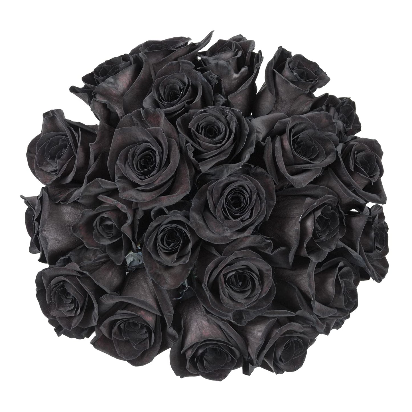 Bloomingmore | Fresh Cut Flowers | Black Roses | 50 Stems - 20 In | Home, Office, Wedding Decor, Diy, Party Event, Housewarming,