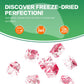 Freeze Dried Dragon Fruit, 6.53Oz/185G Freeze Dried Fruit, Frozen Dragon Fruit, Freeze Dried Dragon Fruit Cubes, No Added Sugars