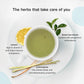 Sippingly Green Tea Sampler - 40 Assorted Bags, 10 Flavors from Japan, Nepal, China & India, Gluten-Free, Kosher, 50 Piece Set