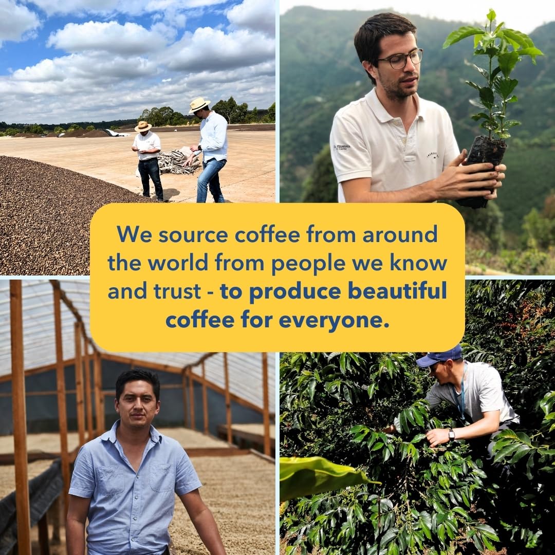 PARTNERS COFFEE ROASTERS - Whole Bean Coffee (Bedford - Espresso, Medium Roast) 12oz - Fruity, Complex, Bright Espresso - Marmal