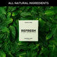 Refresh Gum Garden Mint Flavor, Sugar Free, Vegan, 12 Count (Pack of 12), Plastic Free, Non-GMO, Low Calorie, Natural Ingredients