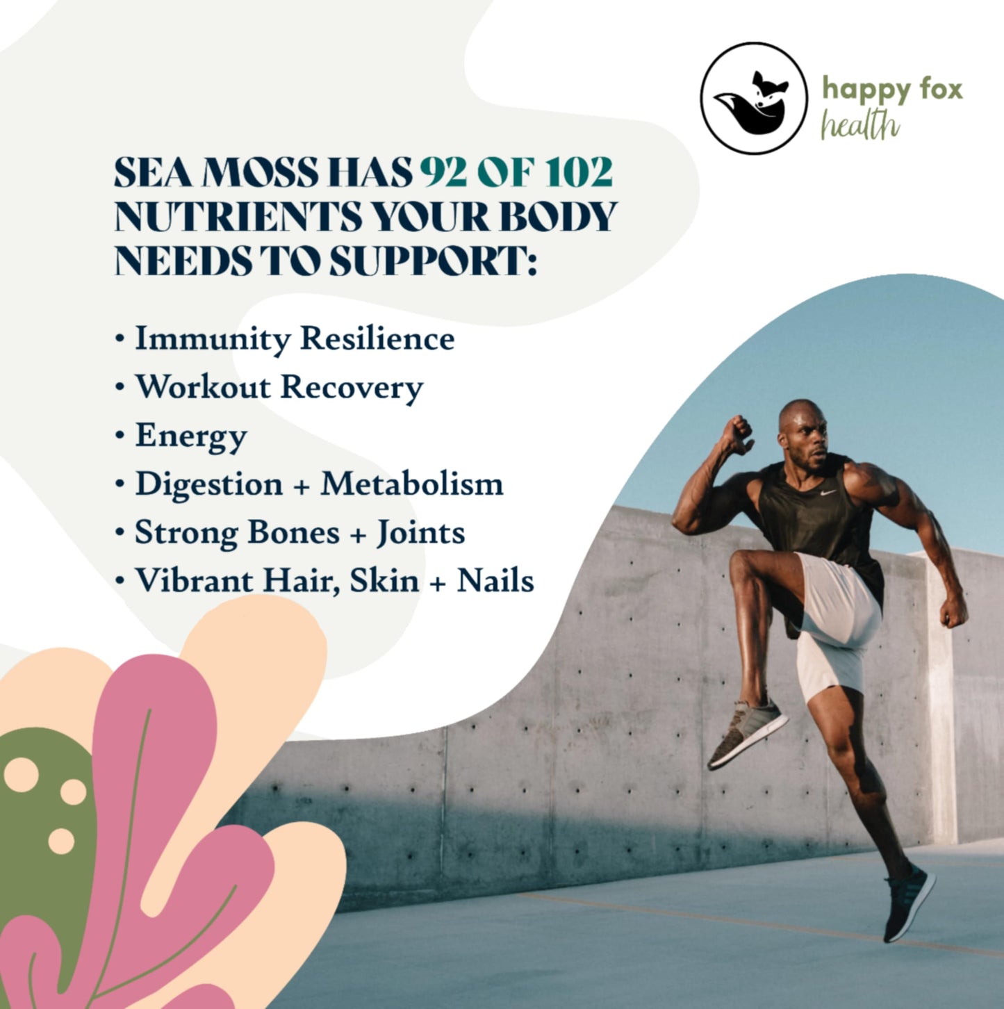 Happy Fox Sea Moss Raw Organic For Organic Seamoss Gel Makes 170Oz Of Dr Sebi Sea Moss Gel - Certified Non-Gmo, Wildcrated Organ