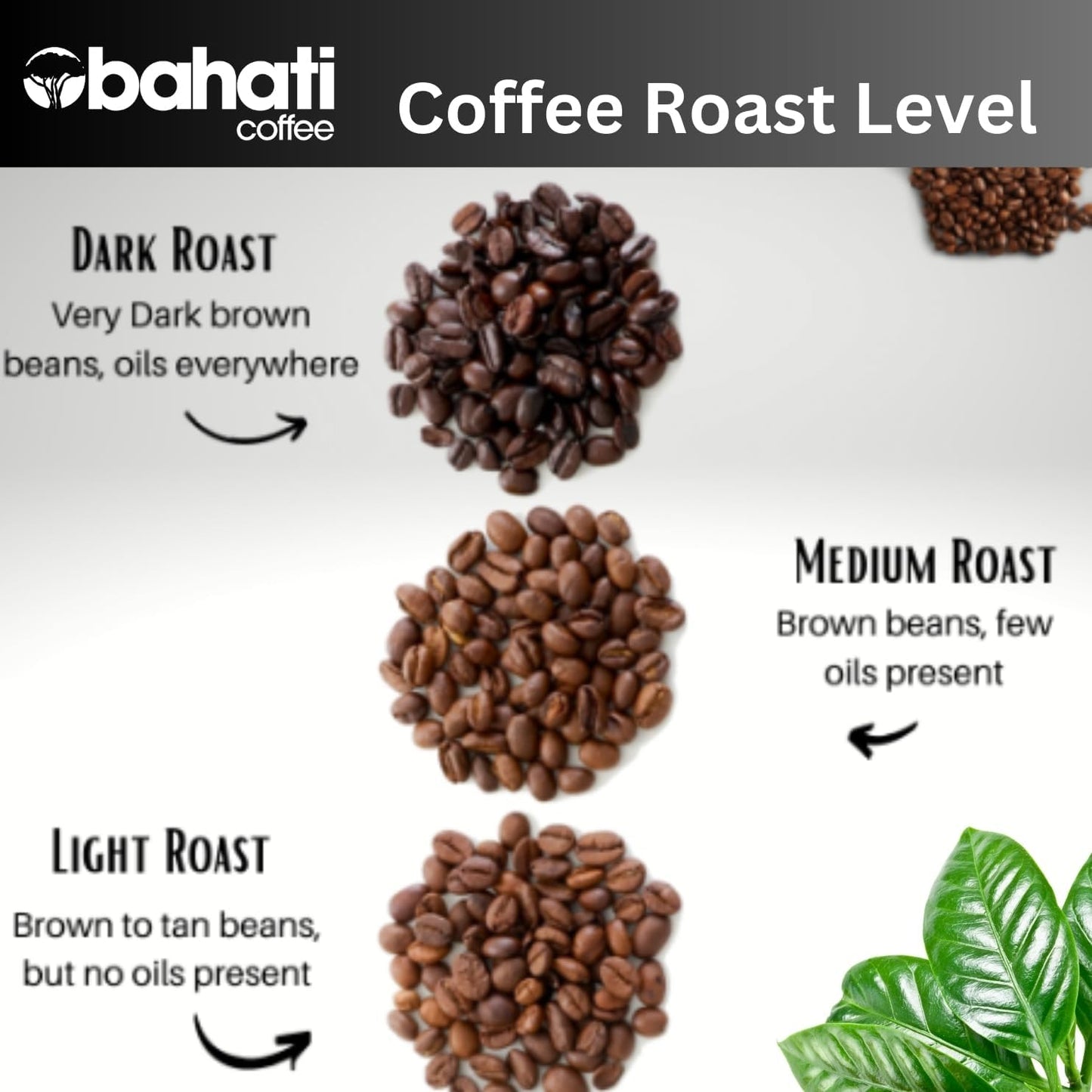 Kenya Aa Grade Roasted Arabica Coffee Beans From Great Rift Valley - 100% Pure Arabica Coffee Roasted Beans (Medium Roast Ground